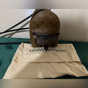 Louis Vuitton Palm Springs Mini